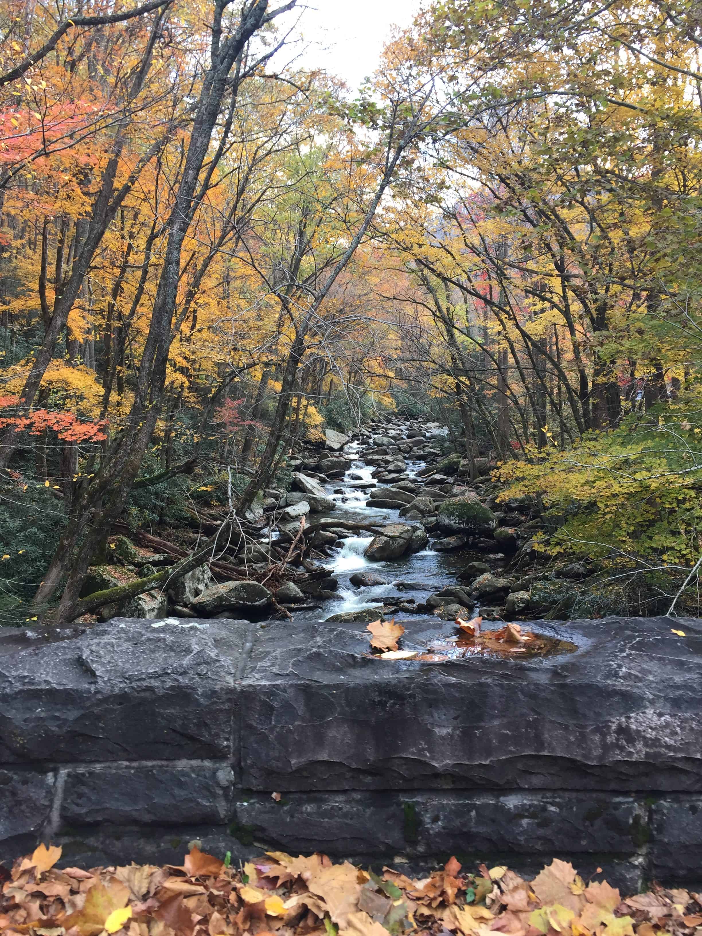 Peaceful river image